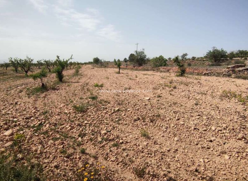 Herverkoop - Country Property/Finca - Pinoso - Inland