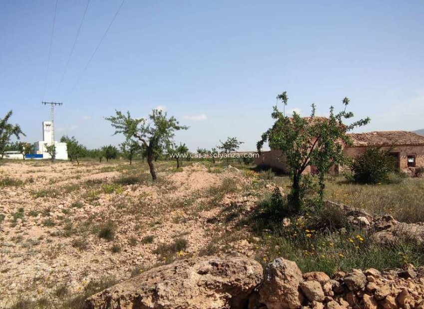 Herverkoop - Country Property/Finca - Pinoso - Inland