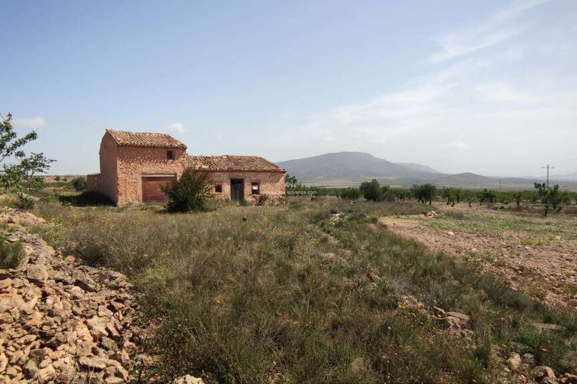 Herverkoop - Country Property/Finca - Pinoso - Inland