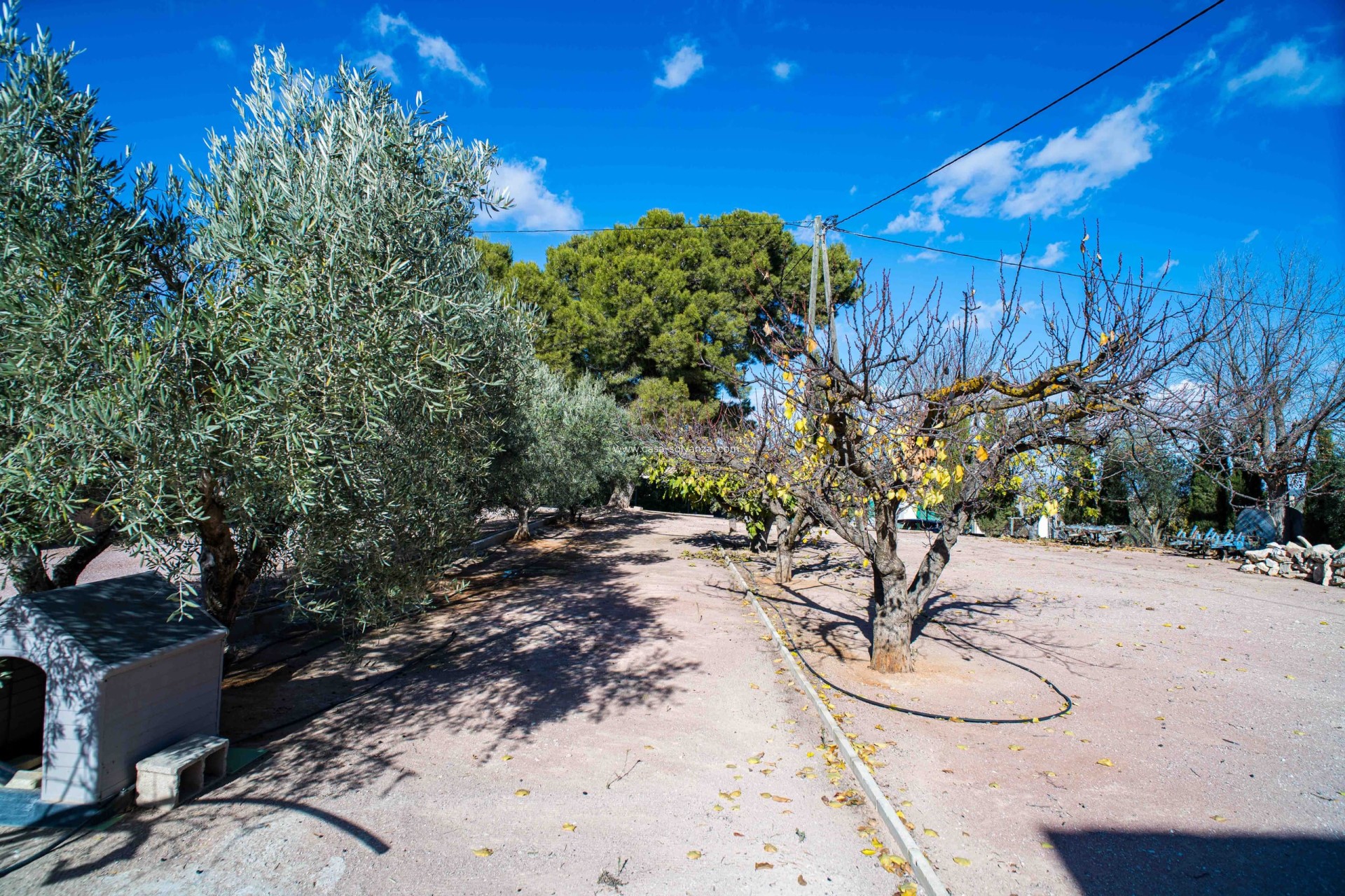 Herverkoop - Country Property/Finca - Raspay