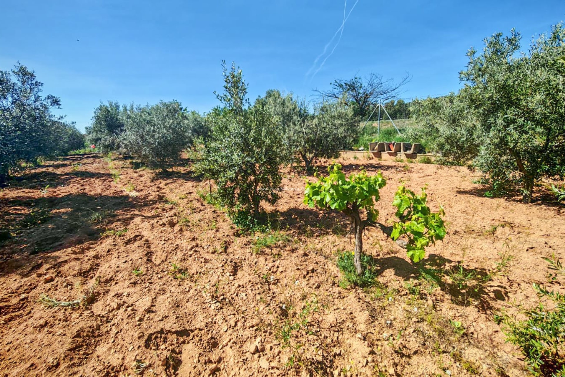 Herverkoop - Country Property/Finca - Raspay