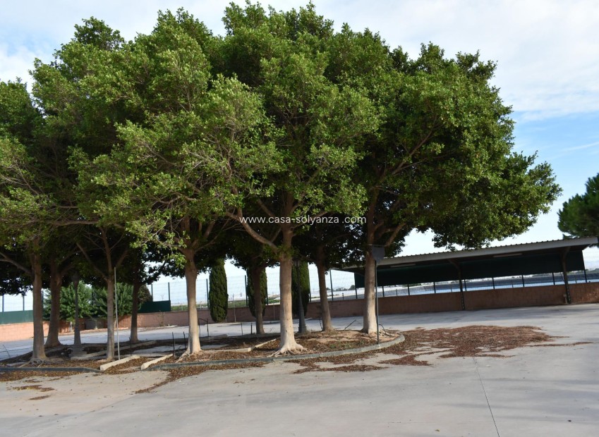 Herverkoop - Country Property/Finca - Torre Pacheco - Dolores De Pacheco