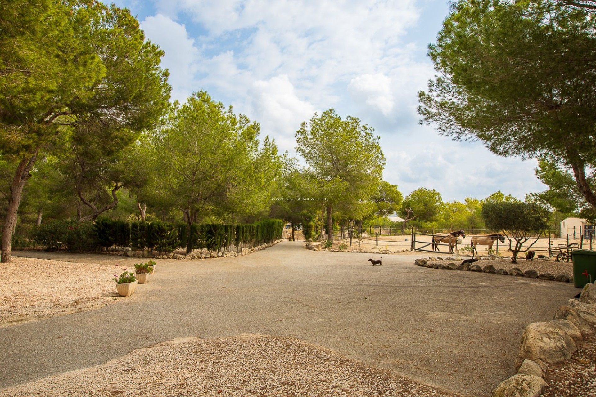 Herverkoop - Country Property/Finca - Torremendo - Costa Blanca
