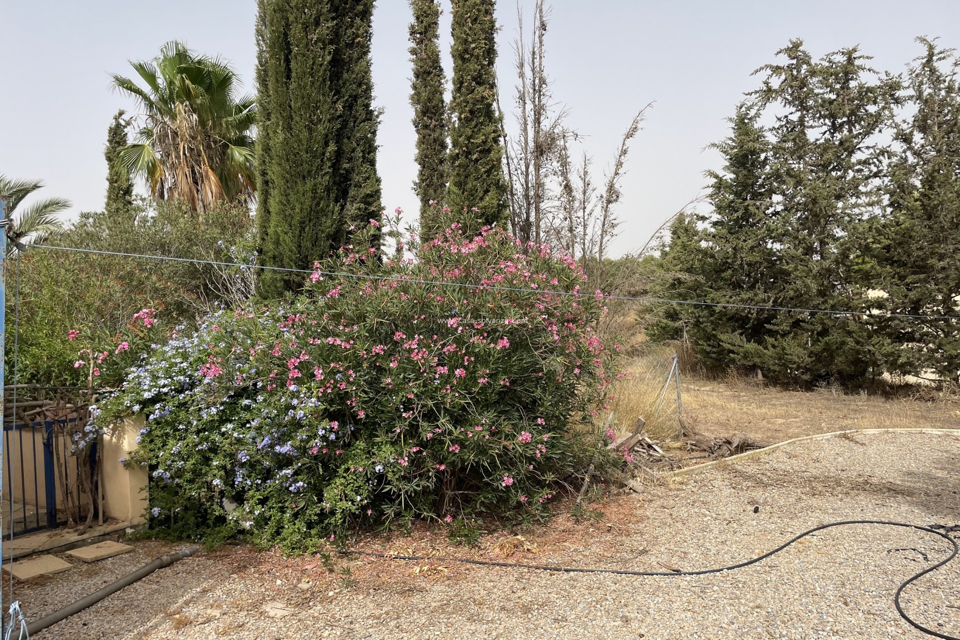 Herverkoop - Country Property/Finca - Totana - Costa Calida
