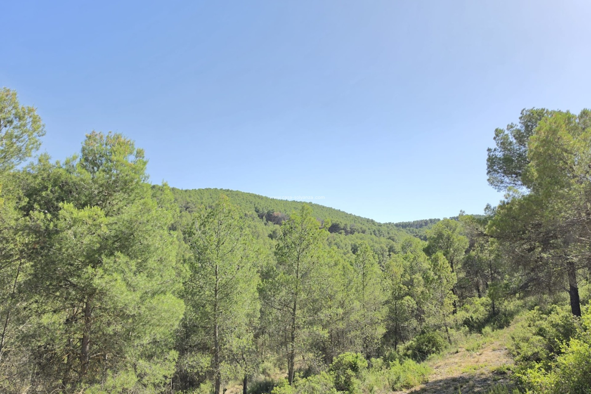 Herverkoop - Country Property/Finca - Villena - Inland