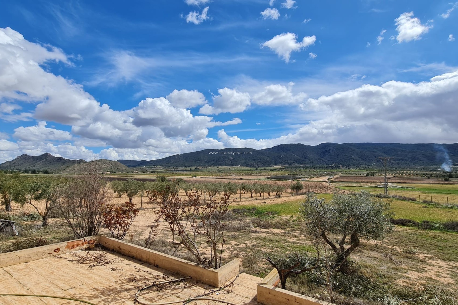 Herverkoop - Country Property/Finca - Yecla - Inland