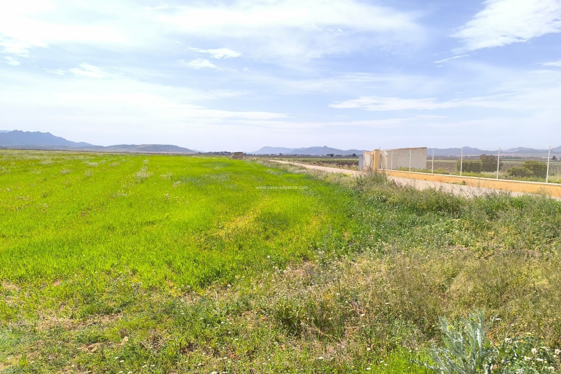 Herverkoop - Country Property/Finca - Yecla - Inland