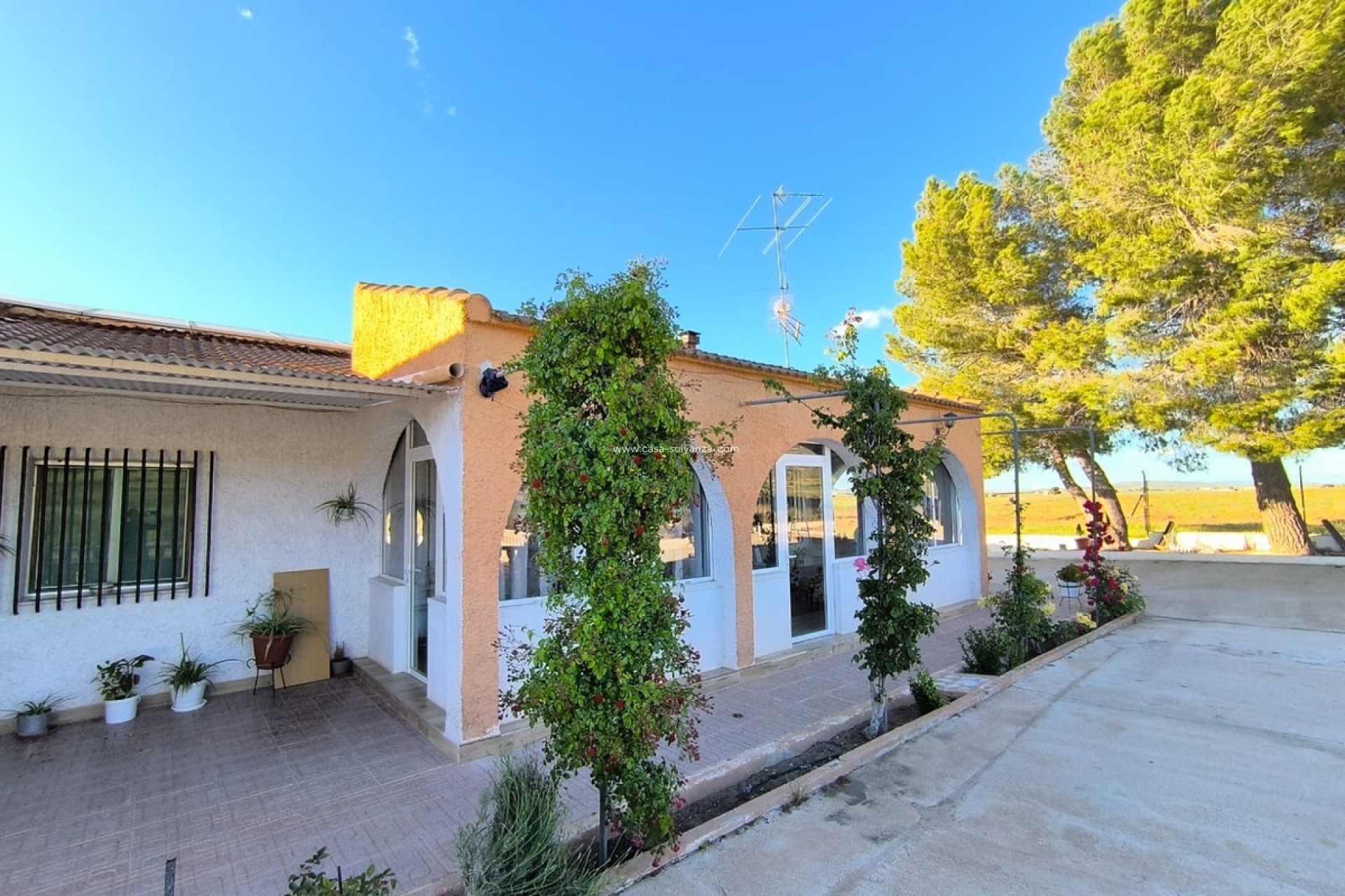Herverkoop - Country Property/Finca - Yecla - Yecla Centro