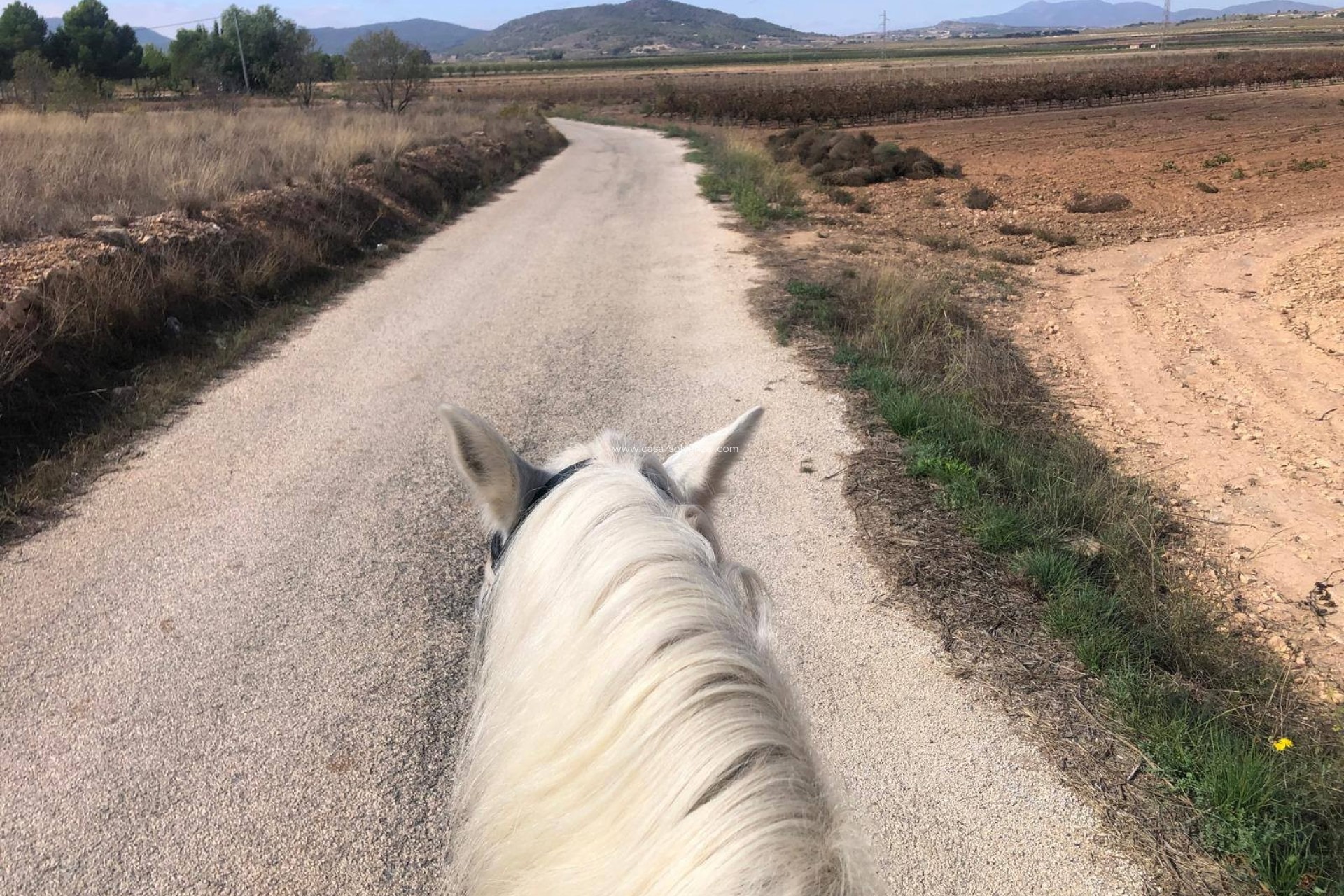 Herverkoop - Equestrian property - Monóvar