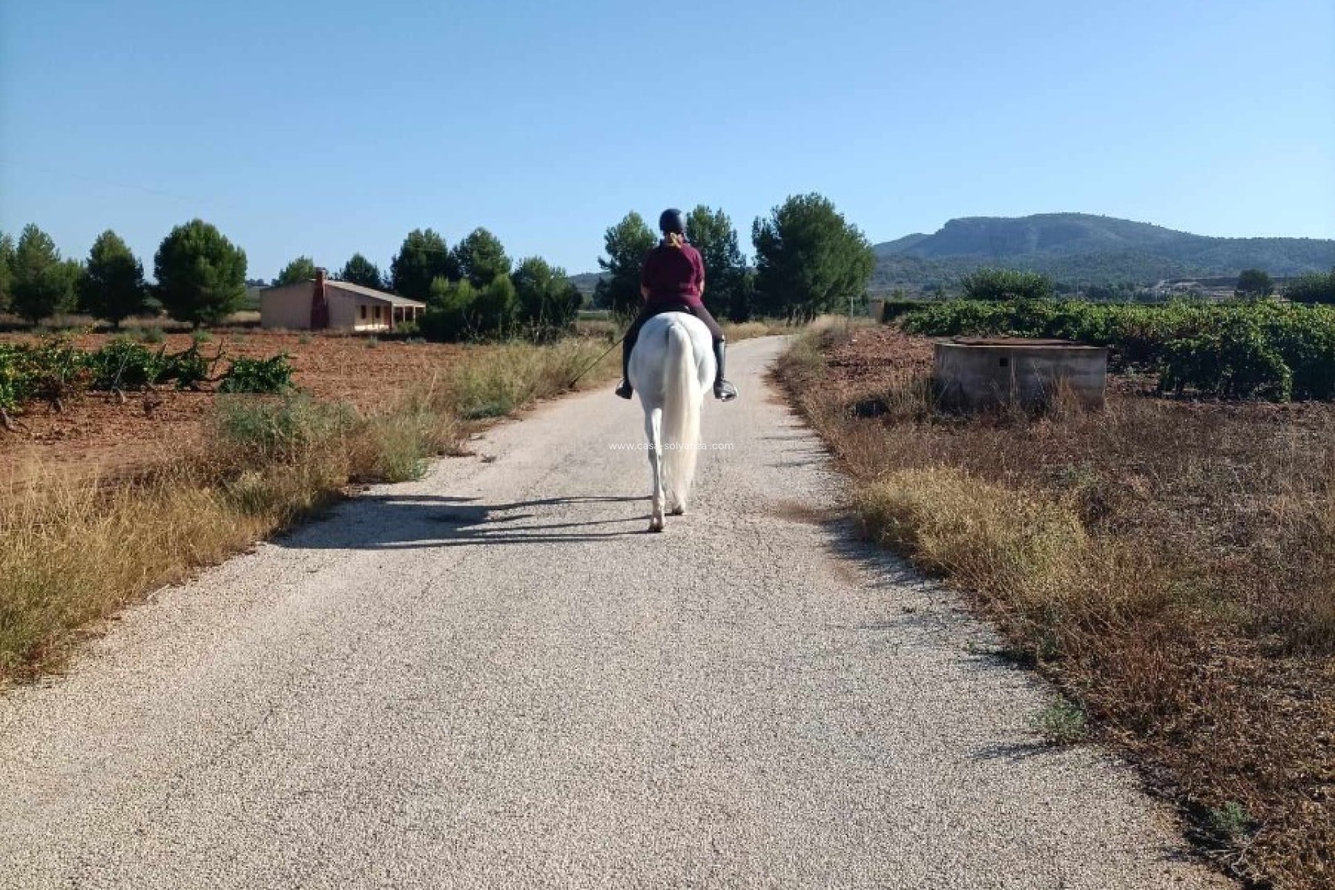 Herverkoop - Equestrian property - Monóvar