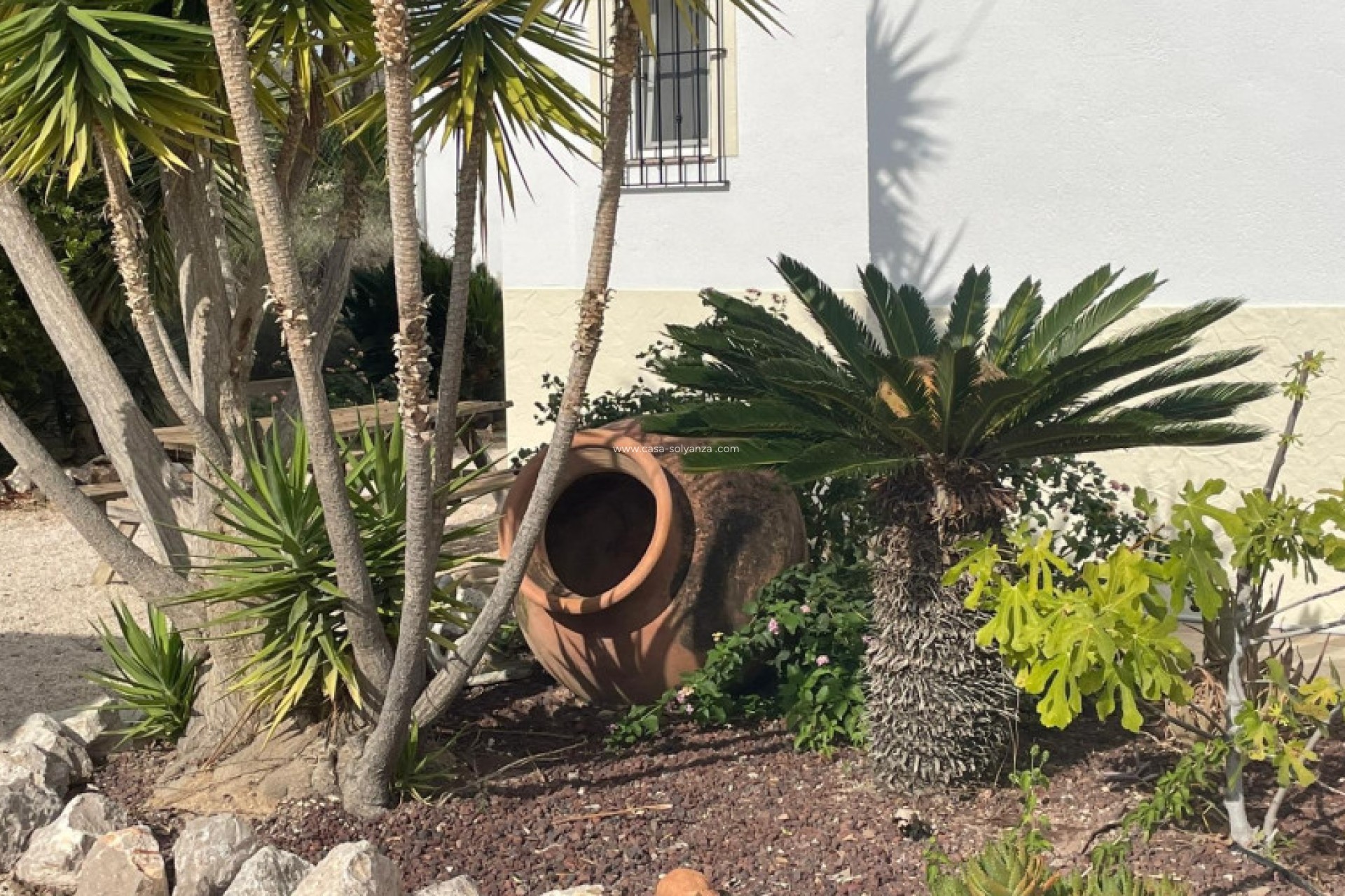 Herverkoop - Finca / Country Property - Abanilla