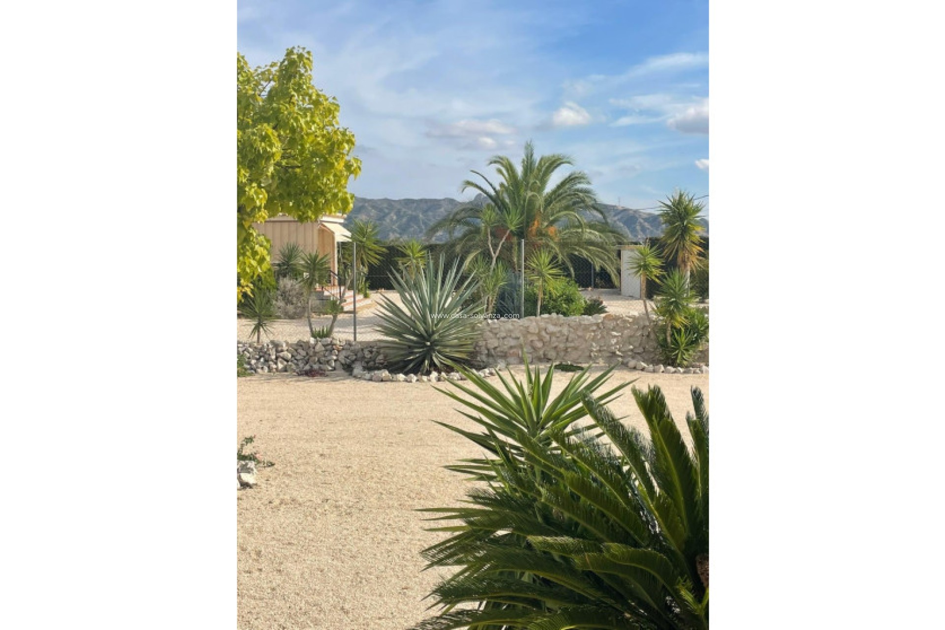 Herverkoop - Finca / Country Property - Abanilla