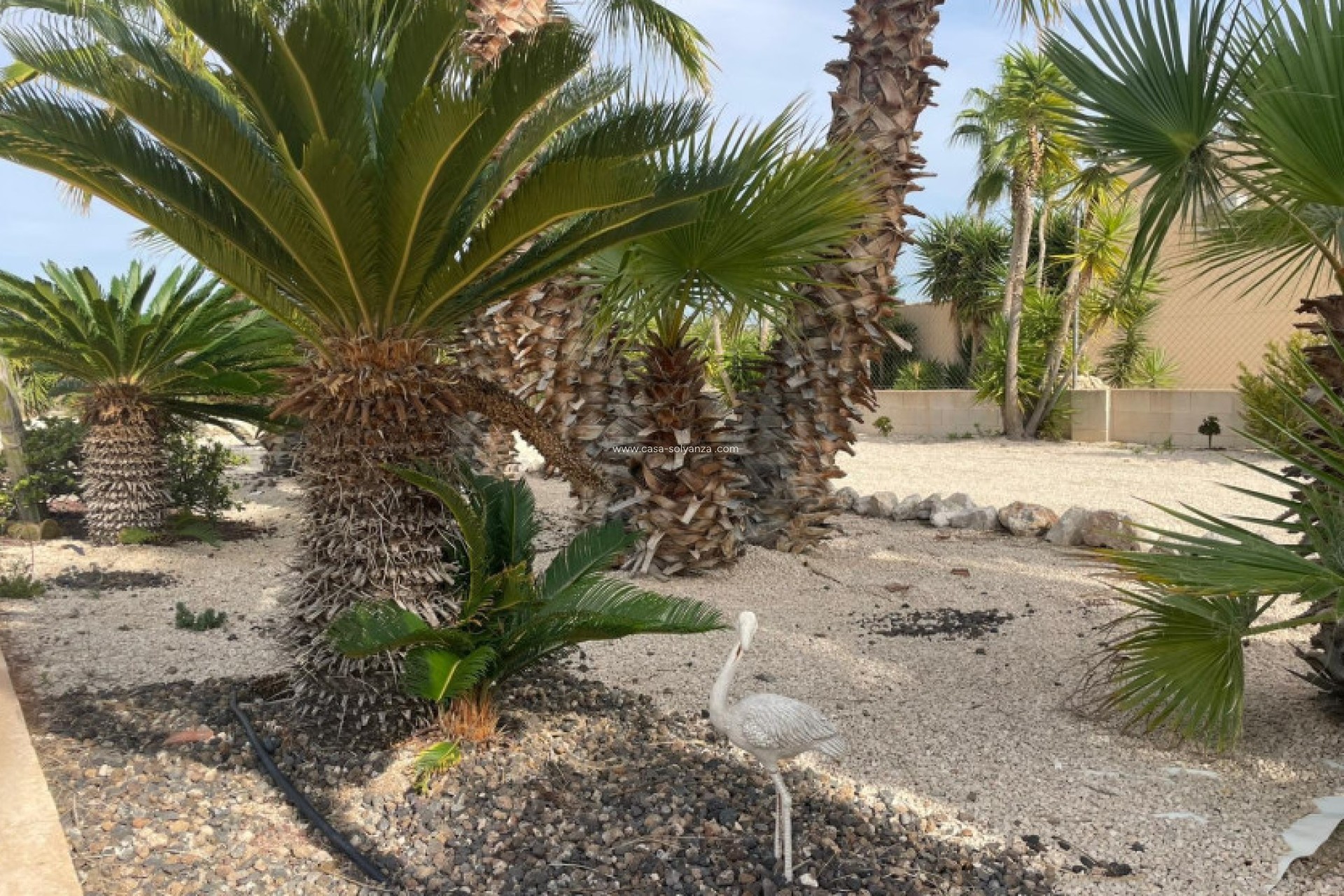 Herverkoop - Finca / Country Property - Abanilla