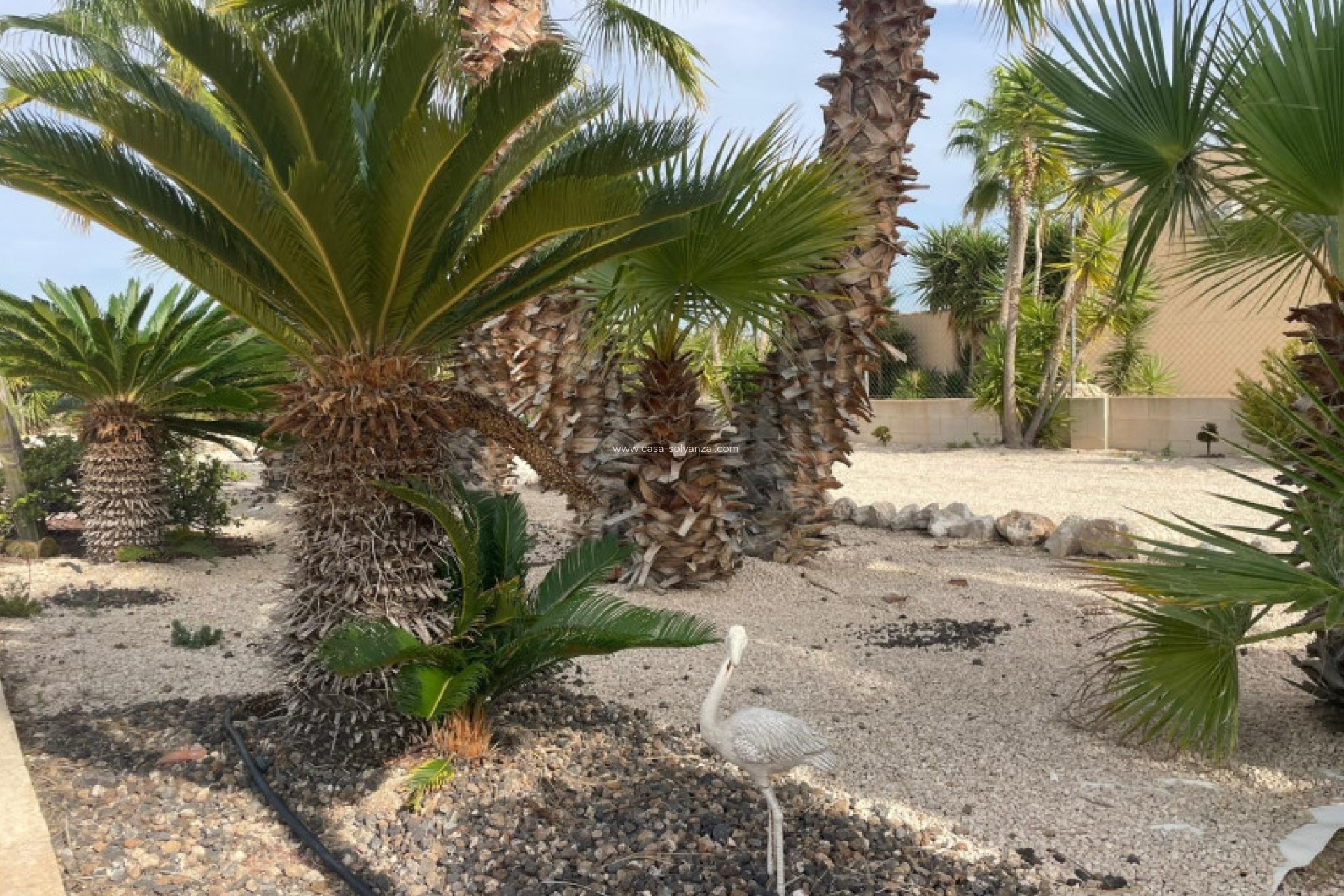 Herverkoop - Finca / Country Property - Abanilla