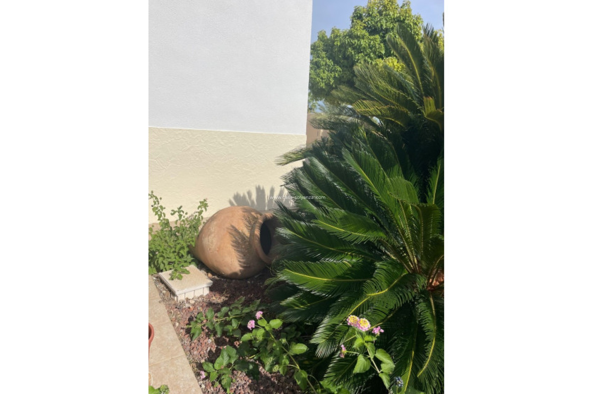 Herverkoop - Finca / Country Property - Abanilla