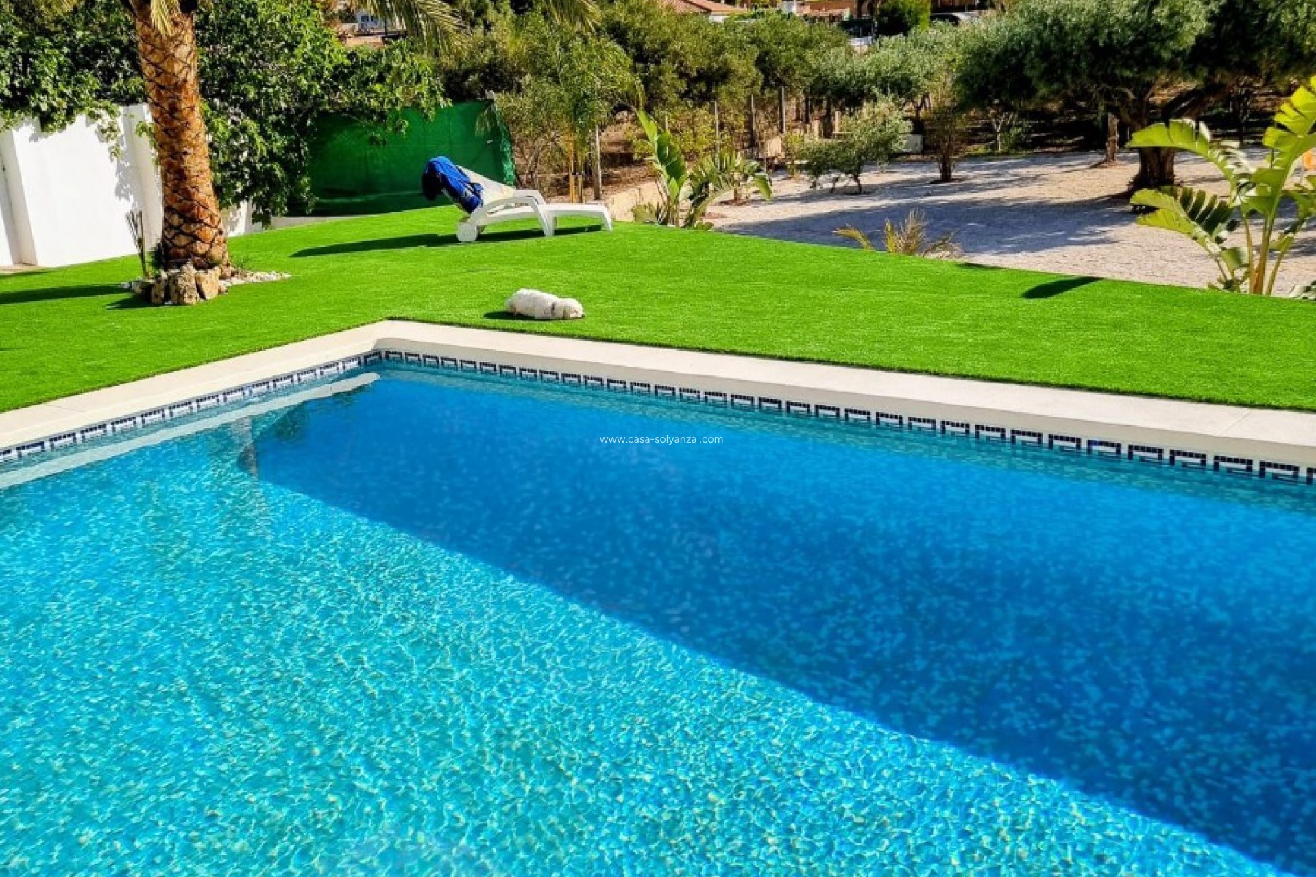 Herverkoop - Finca Country Property - Alicante - Moralet - Cañada del Fenollar