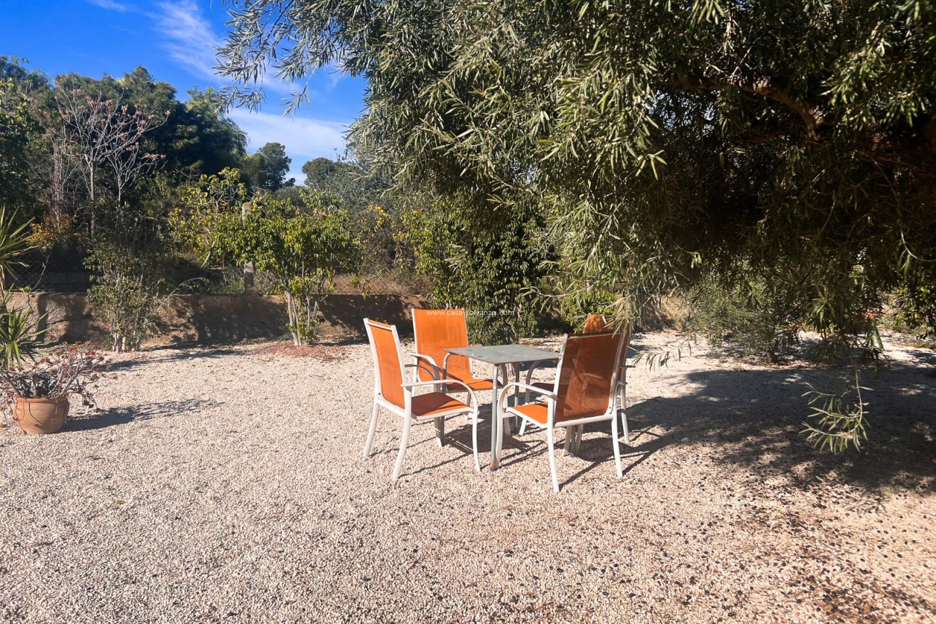 Herverkoop - Finca Country Property - Alicante - Moralet - Cañada del Fenollar