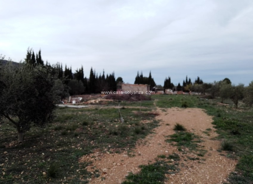 Herverkoop - Finca / Country Property - Caudete