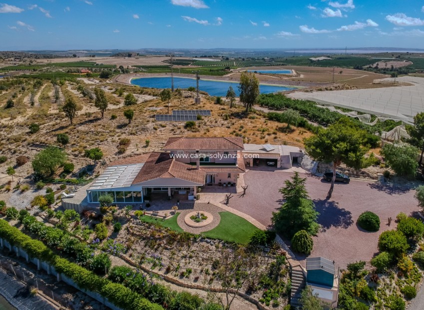 Herverkoop - Finca Country Property - San Miguel de Salinas - Torremendo