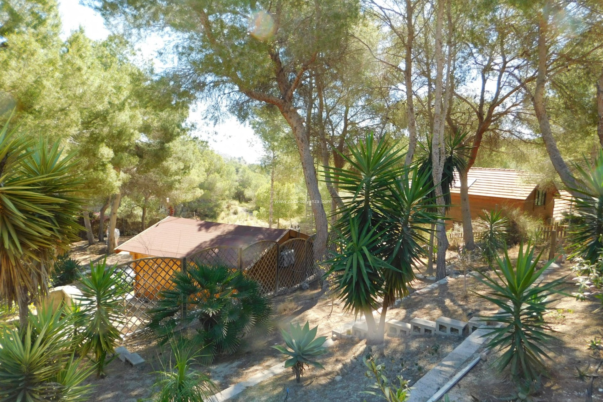 Herverkoop - Finca / Country Property - Torremendo
