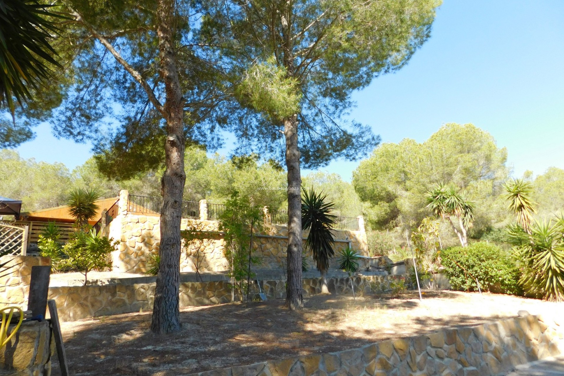 Herverkoop - Finca / Country Property - Torremendo