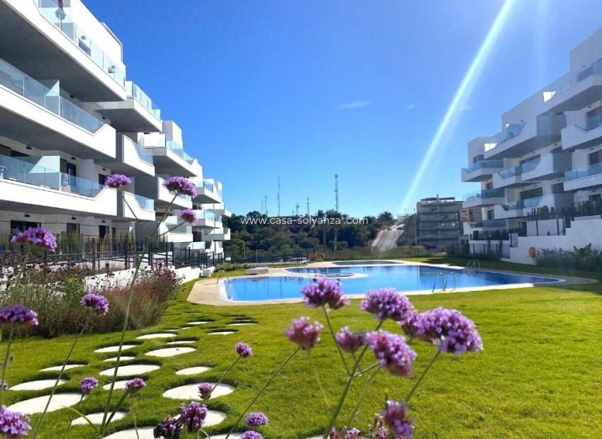 Herverkoop - Flat - Orihuela - Villamartín-Las Filipinas