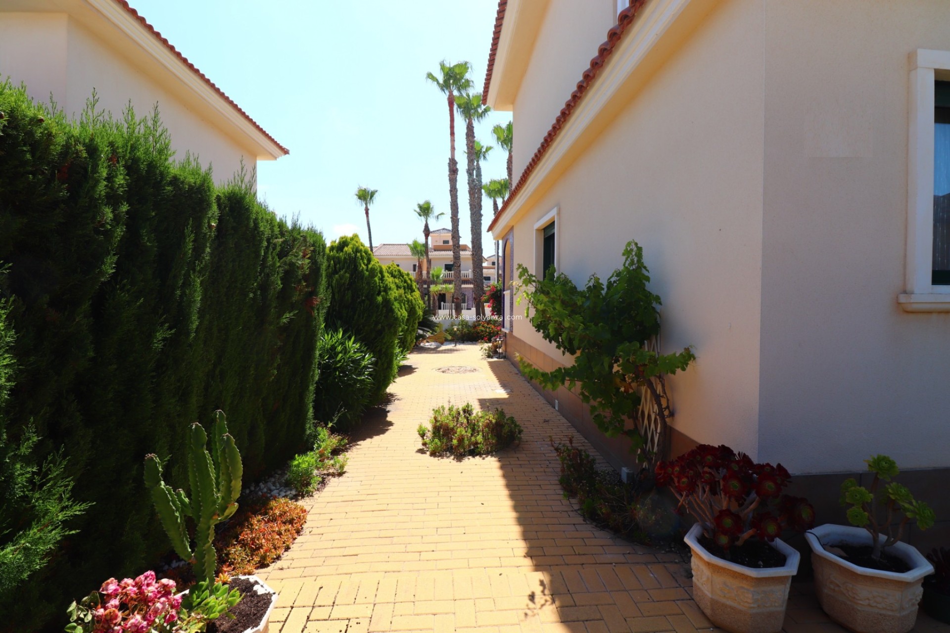 Herverkoop - Herenhuis - Ciudad Quesada - Doña Pepa