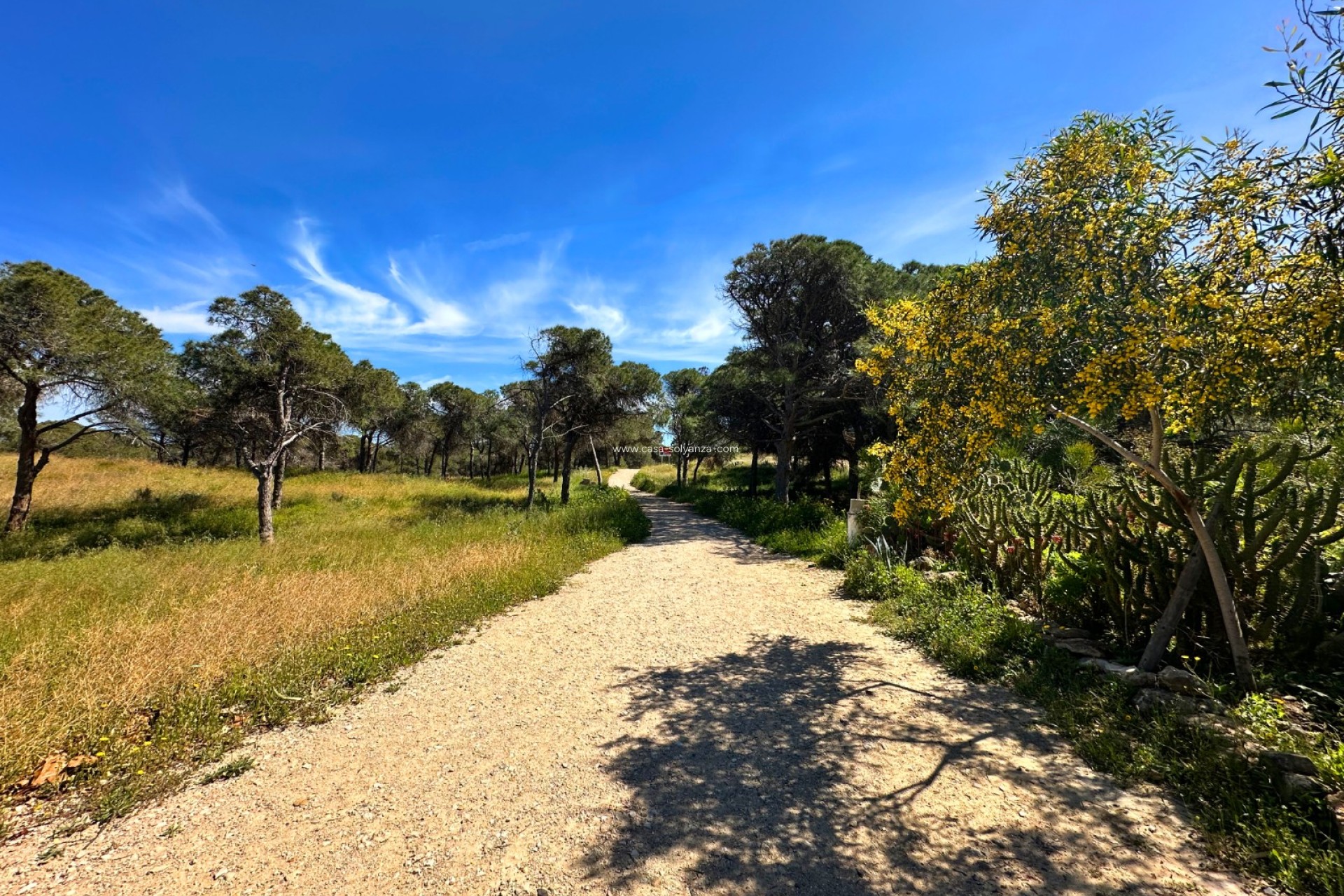 Herverkoop - Herenhuis - Guardamar del Segura - Costa Blanca