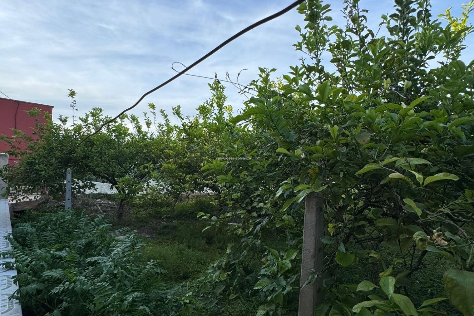 Herverkoop - Herenhuis - Orihuela - Desamparados