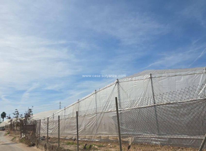 Herverkoop - Herenhuis - Pilar de la Horadada