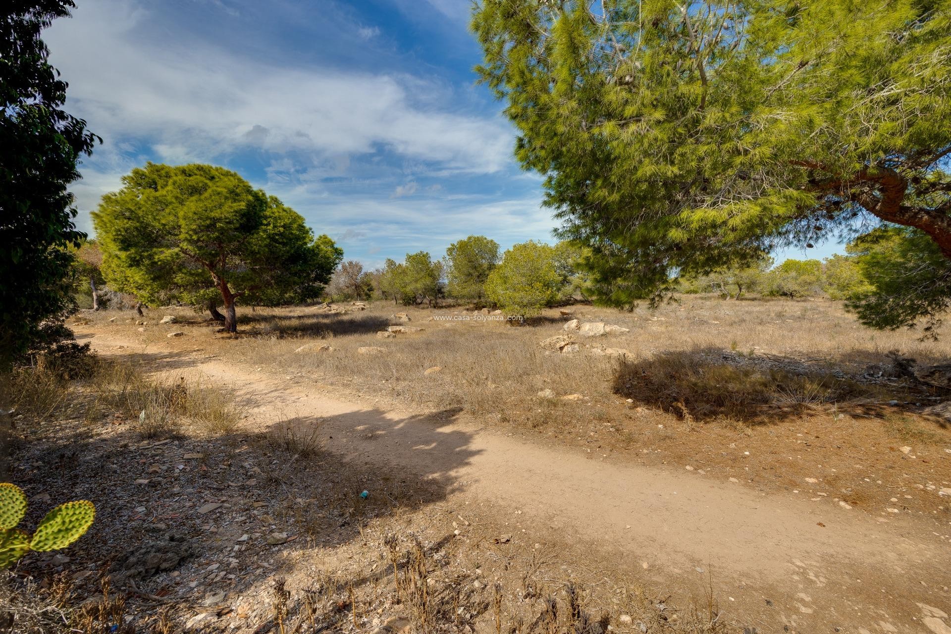 Herverkoop - Herenhuis - Torrevieja - La Siesta