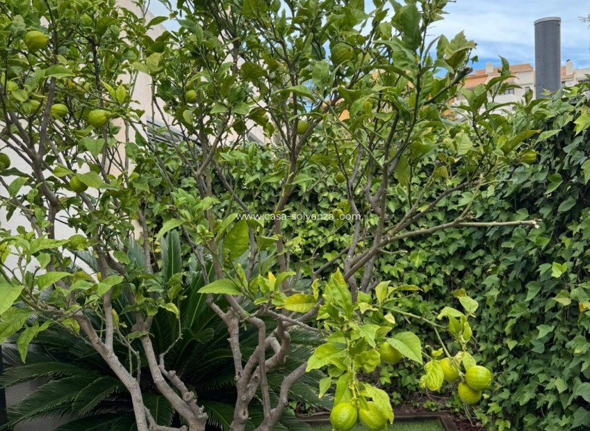 Herverkoop - Herenhuis - Torrevieja - Punta Prima