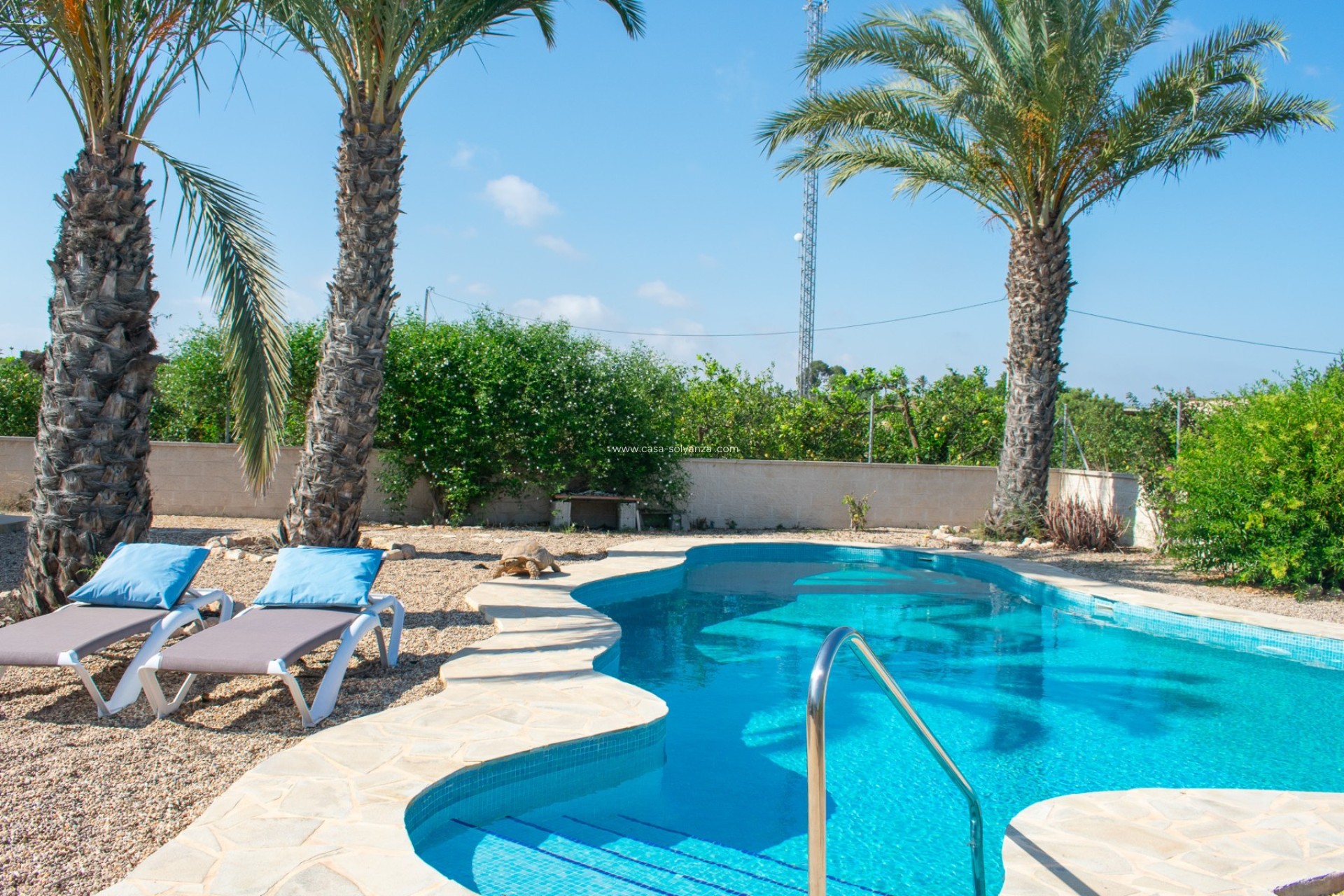 Herverkoop - Independent villa - Guardamar del Segura - El Raso