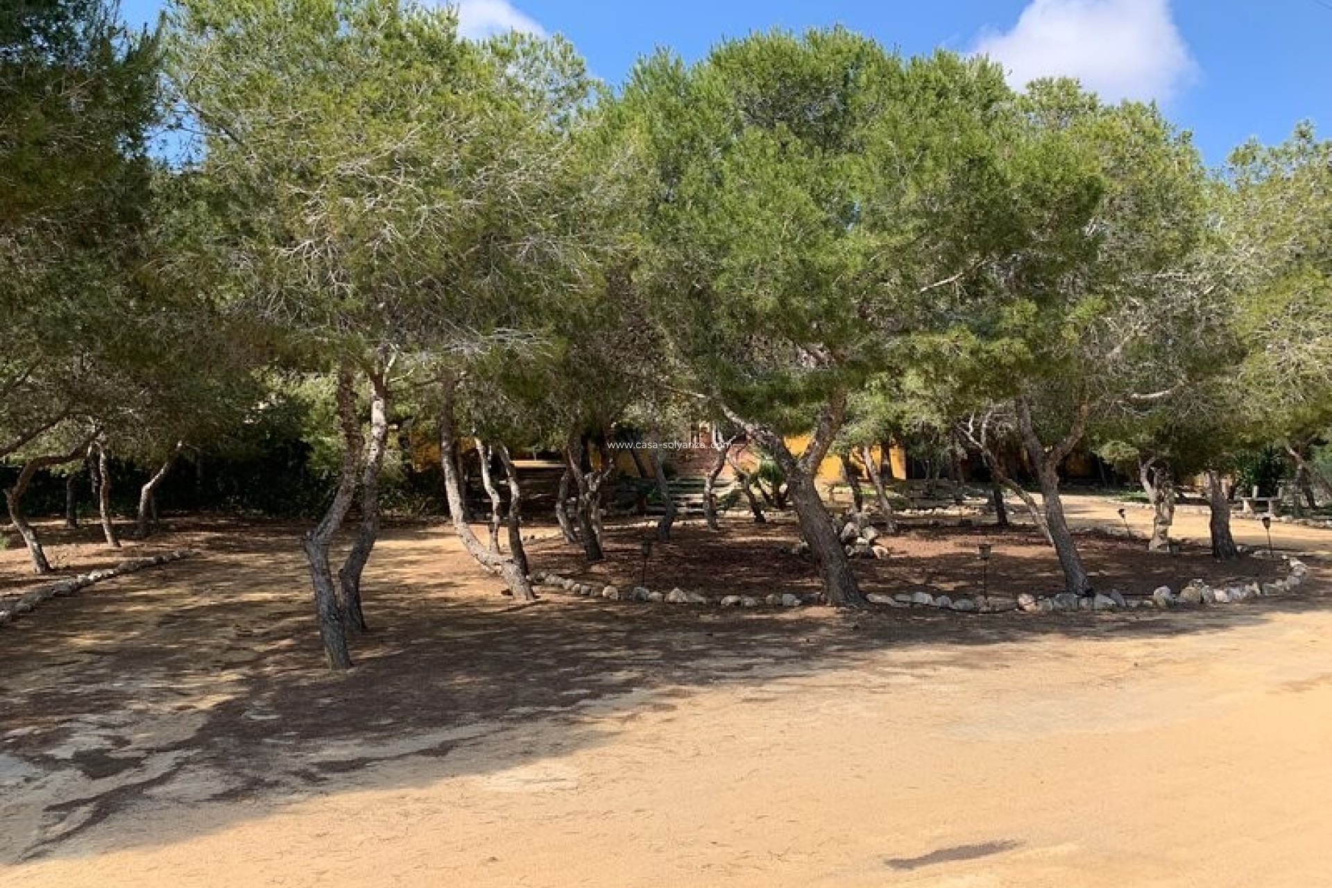 Herverkoop - Independent villa - Rojales - Ciudad Quesada