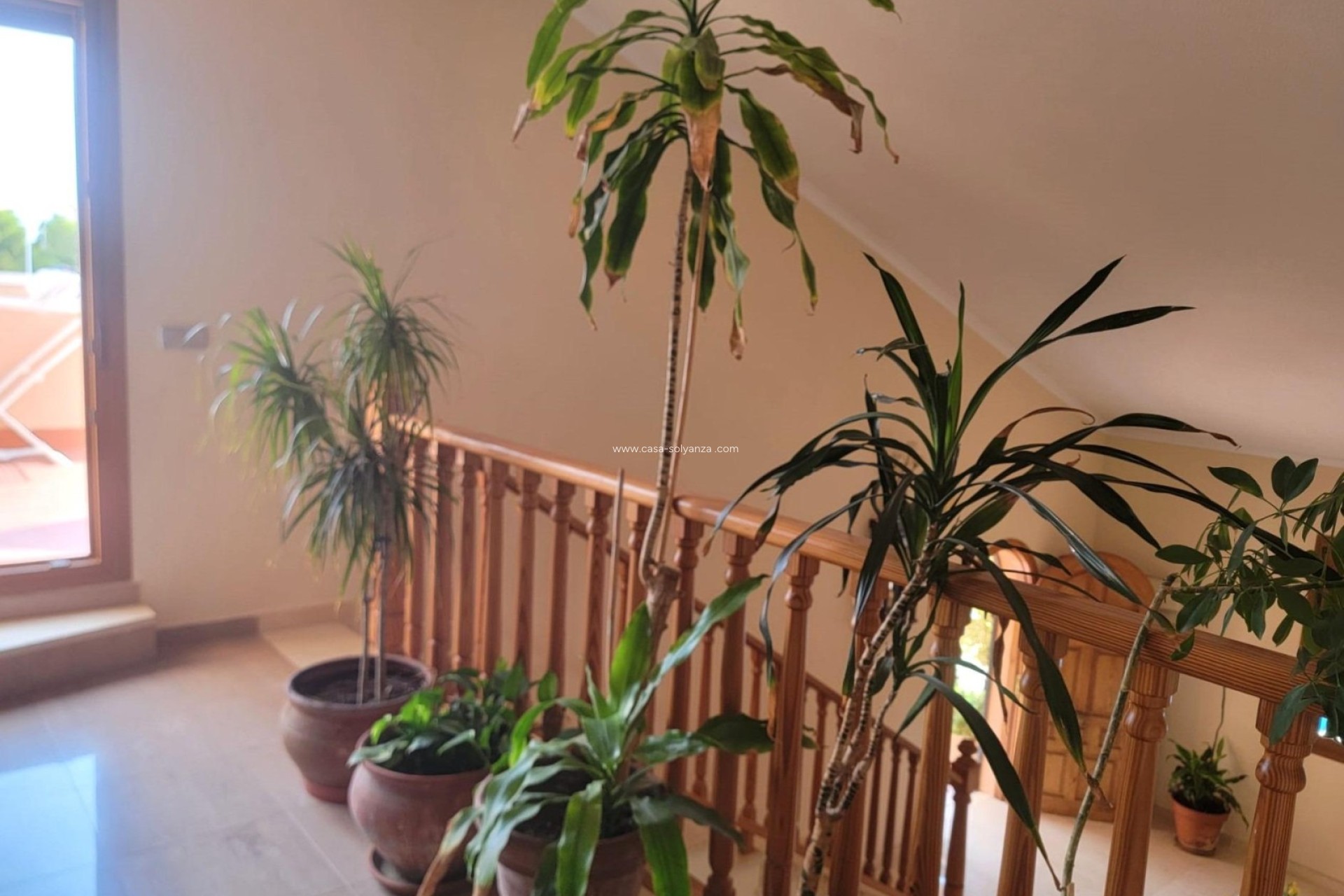 Herverkoop - Independent villa - Torrevieja - Aguas nuevas