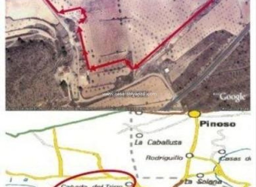 Herverkoop - Land - Abanilla - Cañada Del Trigo