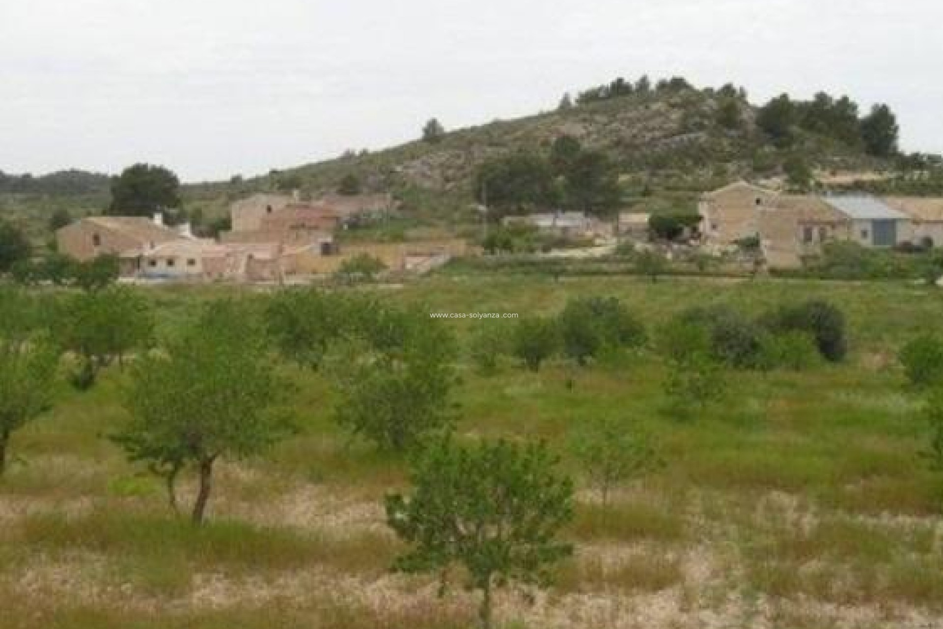 Herverkoop - Land - Abanilla - Cañada Del Trigo