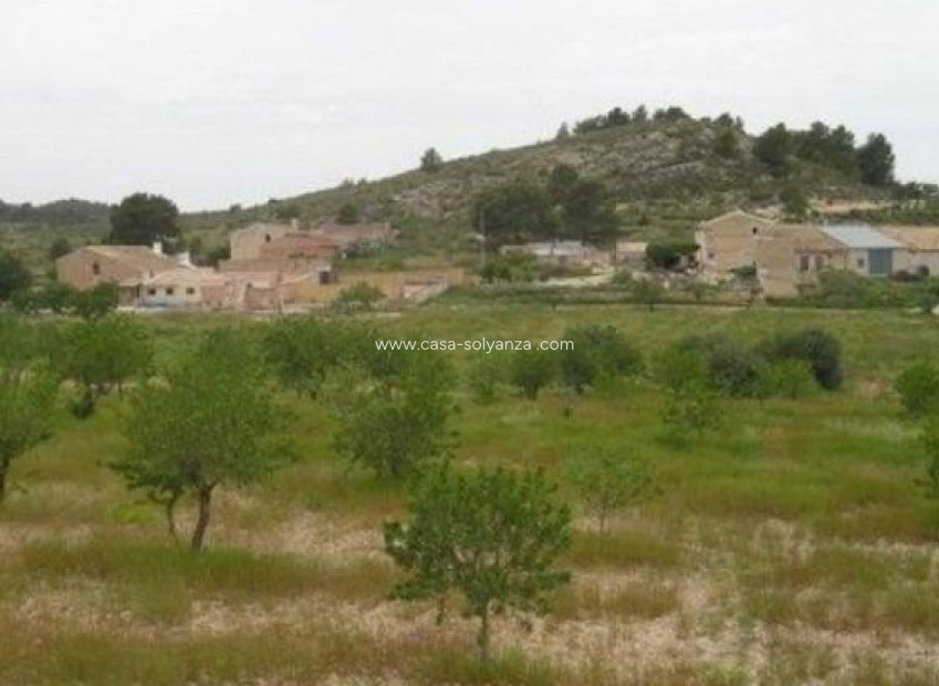 Herverkoop - Land - Abanilla - Cañada Del Trigo