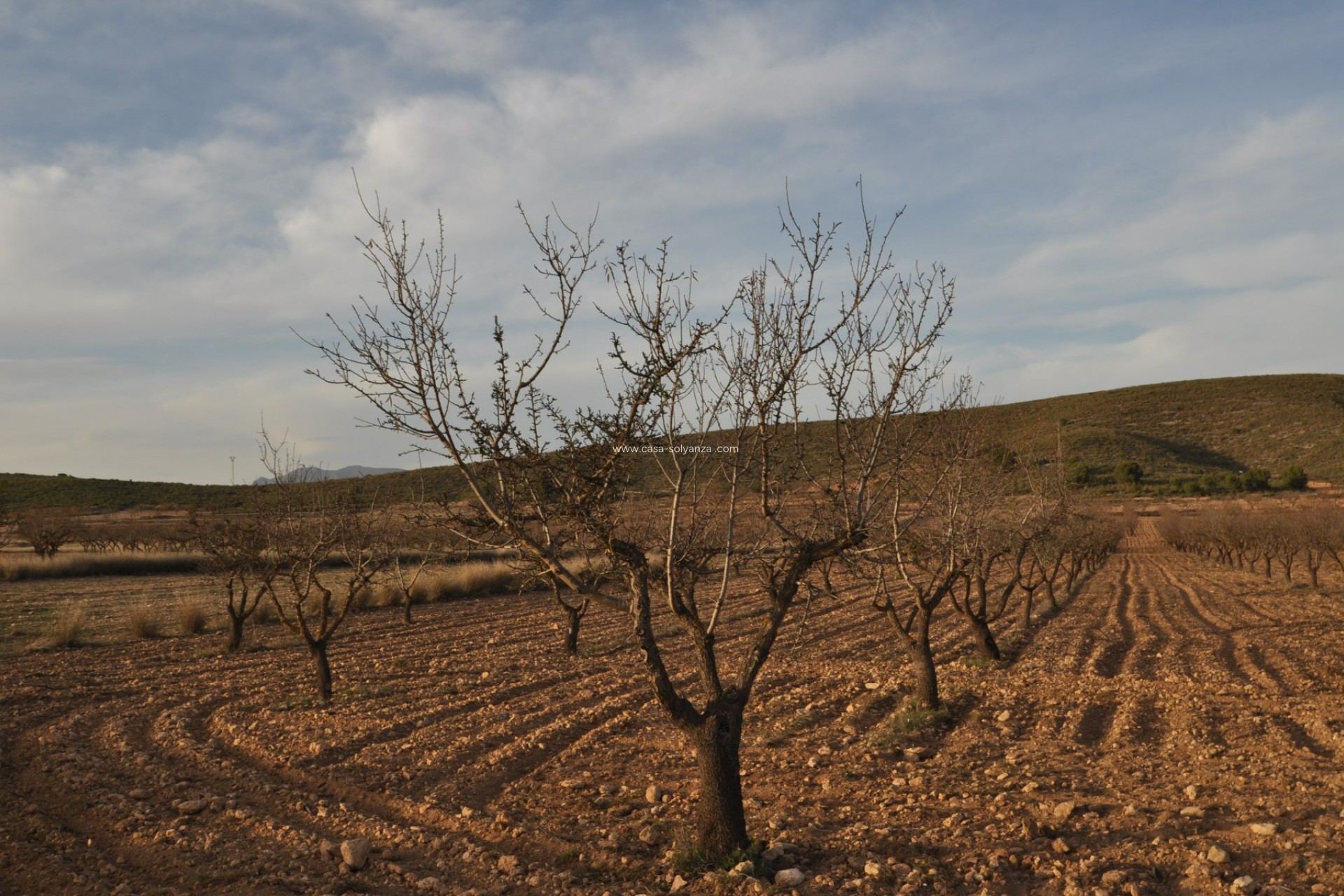 Herverkoop - Land - Abanilla - Inland