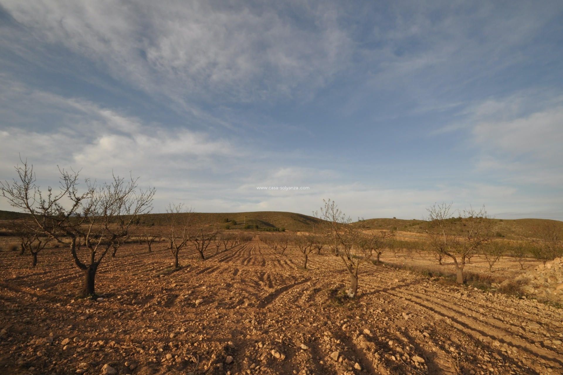 Herverkoop - Land - Abanilla - Inland