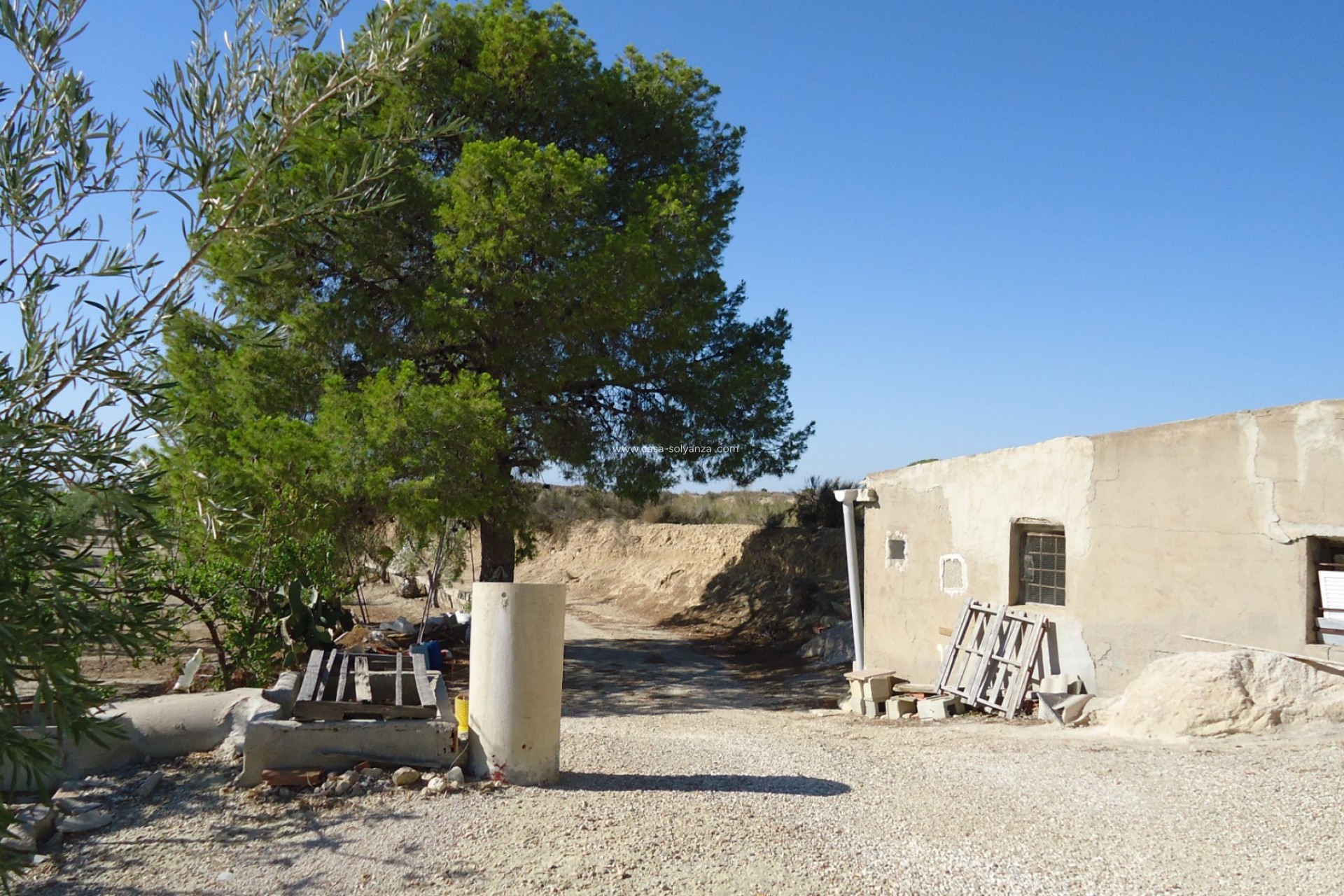 Herverkoop - Land - Abanilla - Inland