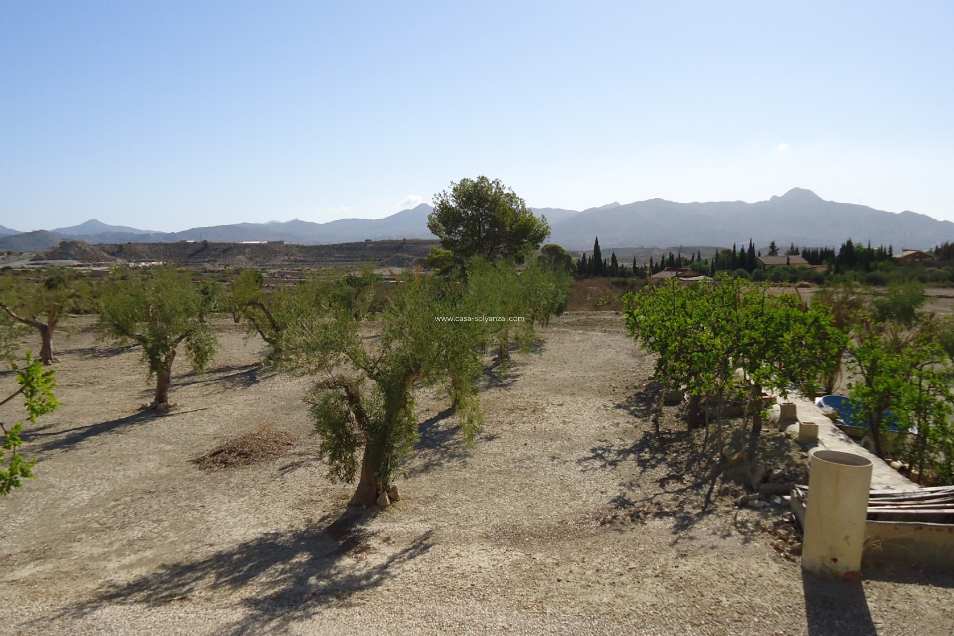 Herverkoop - Land - Abanilla - Inland