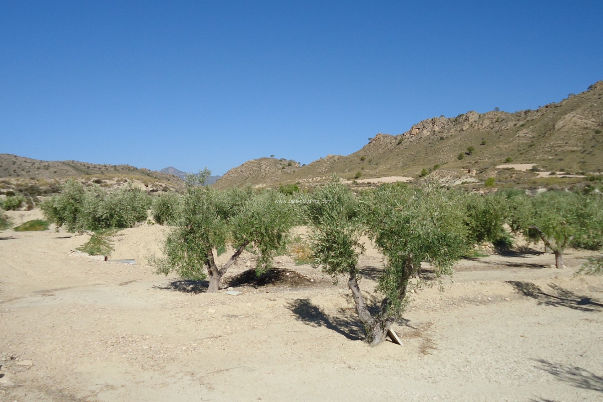 Herverkoop - Land - Abanilla - Inland