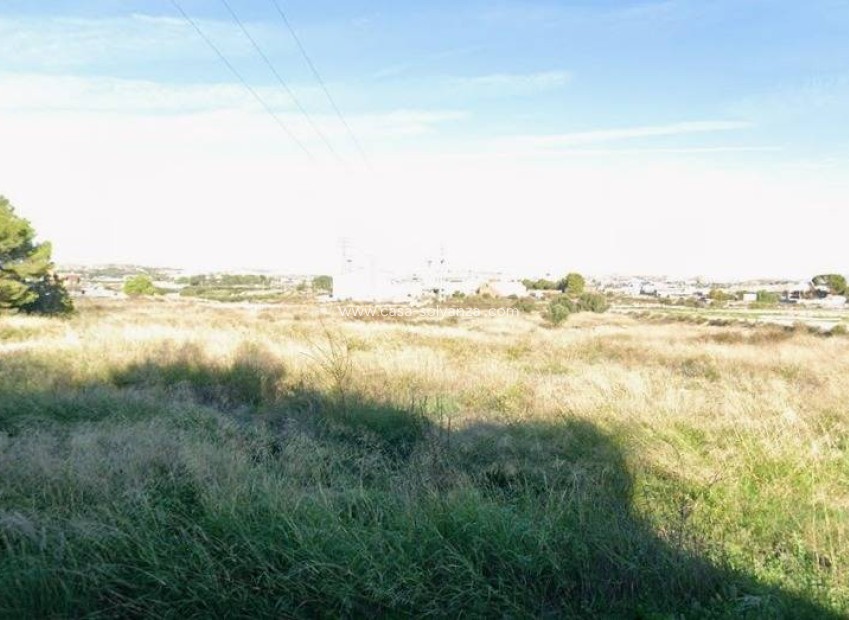 Herverkoop - Land - Alcantarilla