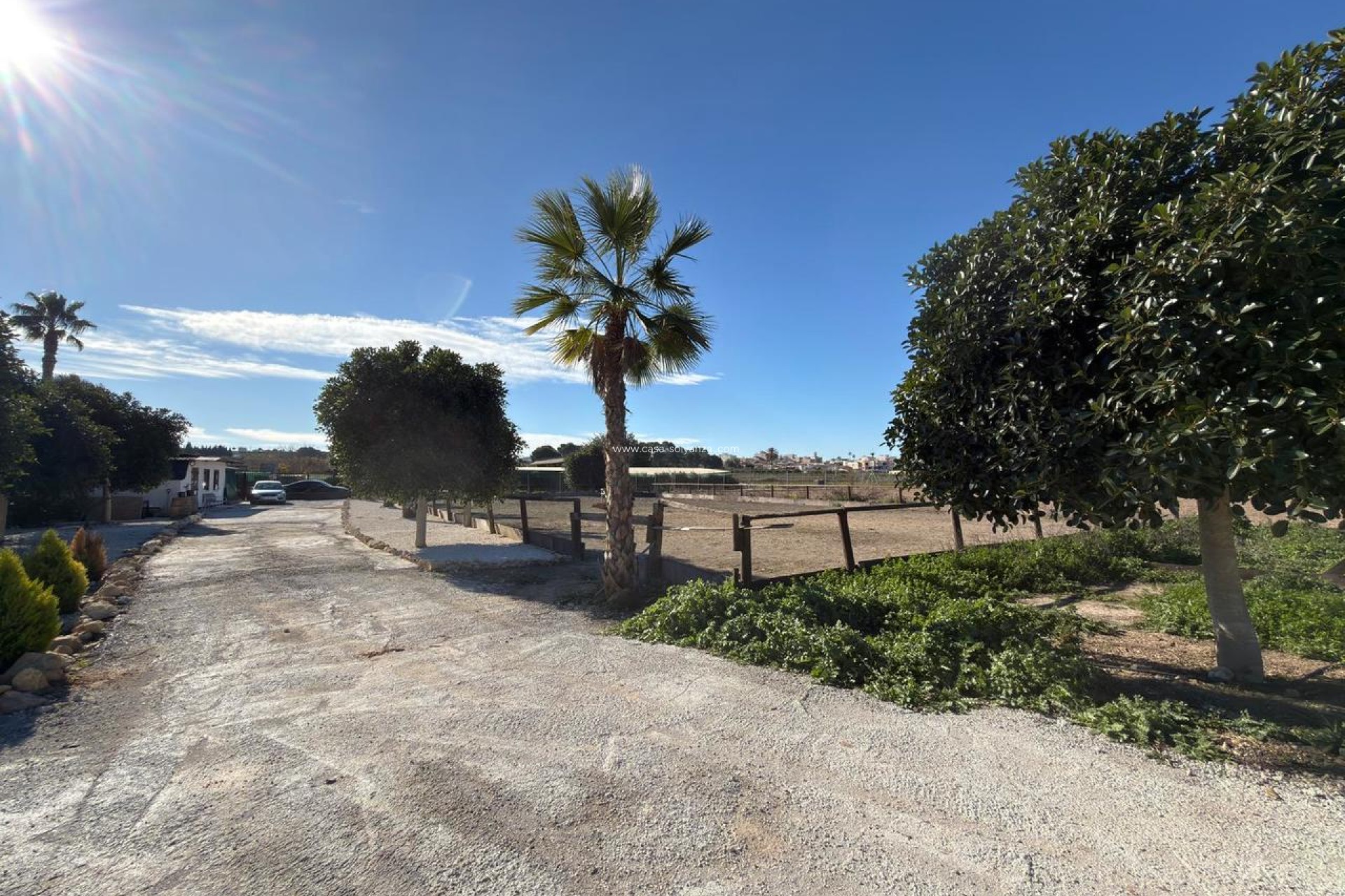 Herverkoop - Land - Algorfa - Inland