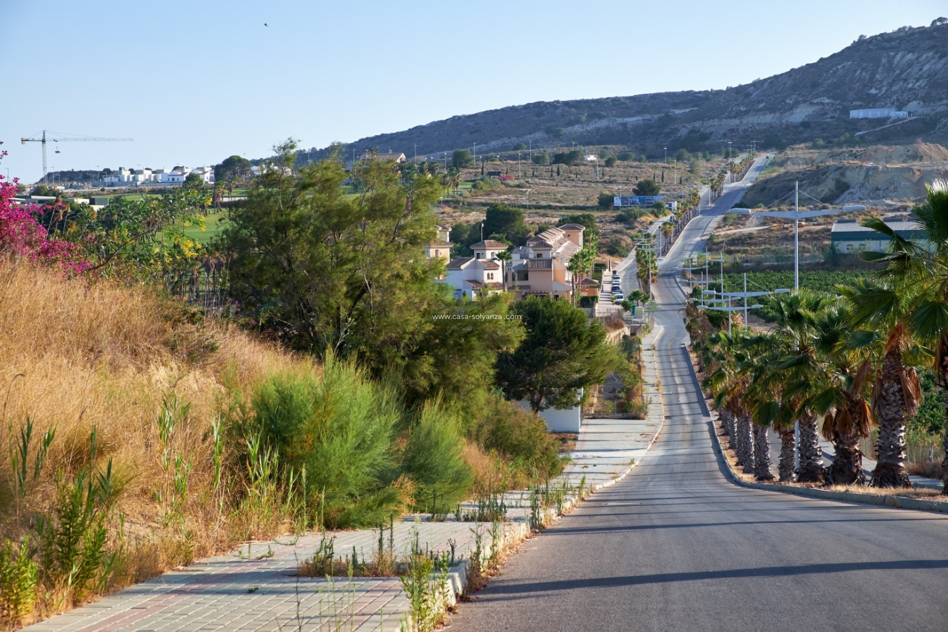 Herverkoop - Land - Algorfa (montemar) - Algorfa