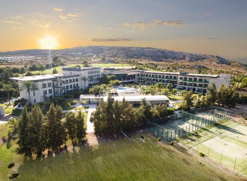 Herverkoop - Land - Algorfa (montemar) - Algorfa