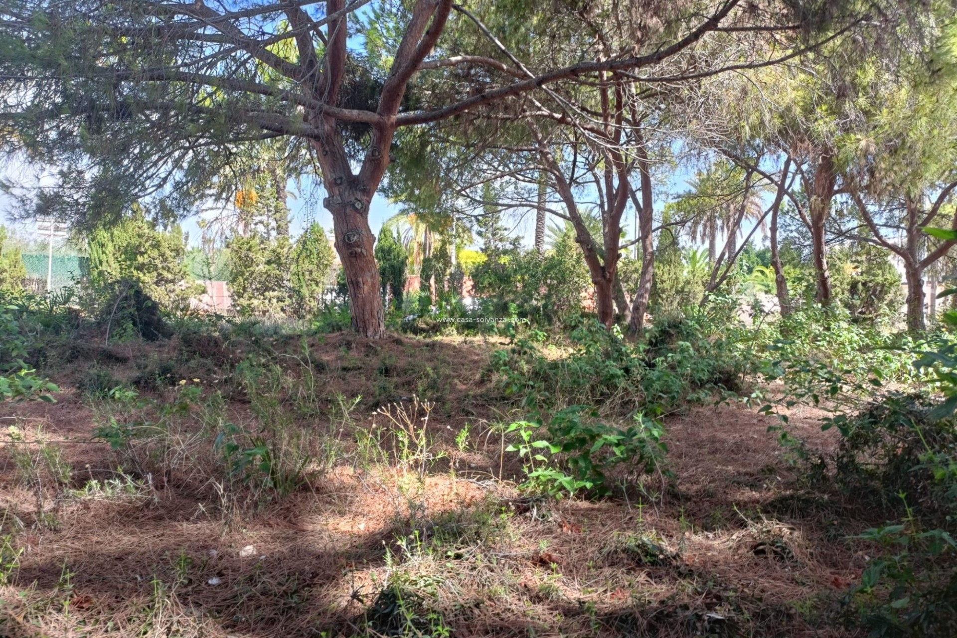 Herverkoop - Land - Cabo Roig - Costa Blanca