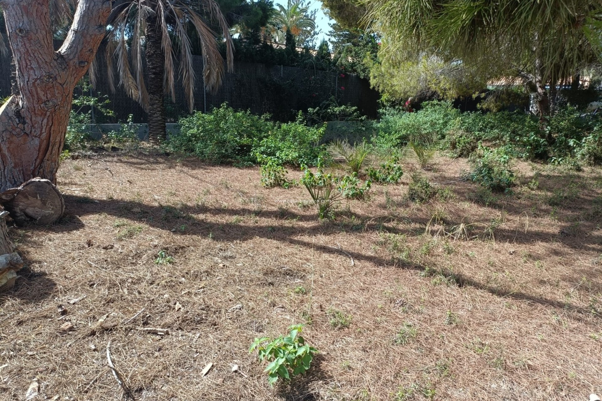 Herverkoop - Land - Cabo Roig - Costa Blanca