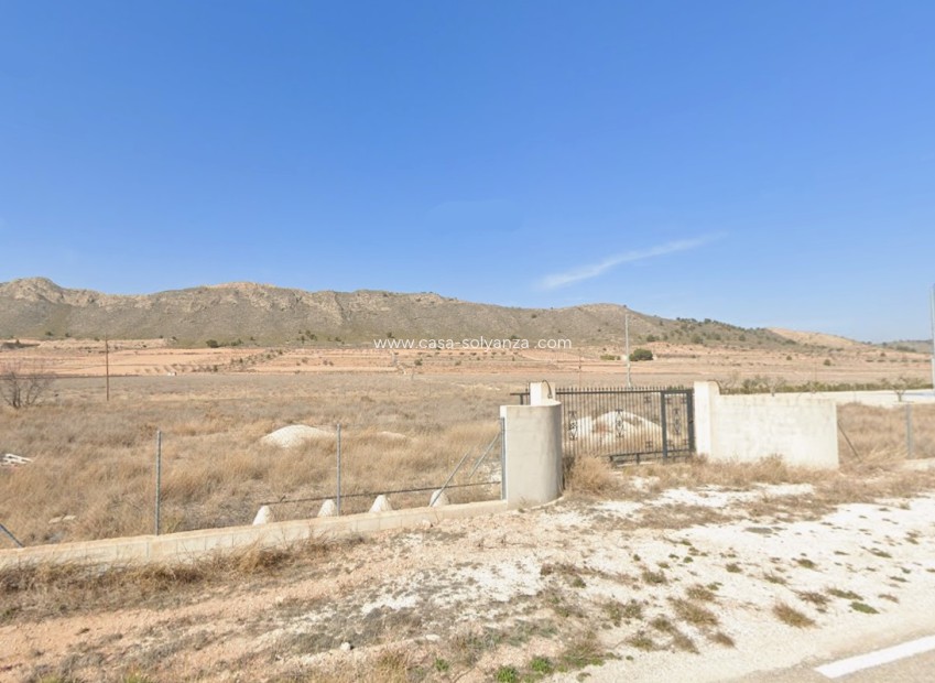 Herverkoop - Land - Canada De La Lena - Inland